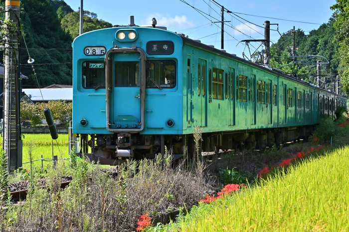 PENTAX ペンタックス はく 8.5㎜ F1.9AL レンズ G-1236